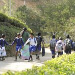 Growing Up in the Tea Gardens